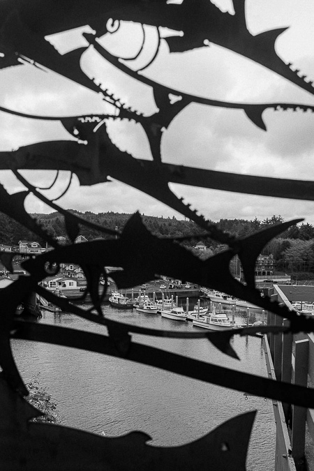 Harbour along Oregon Coast