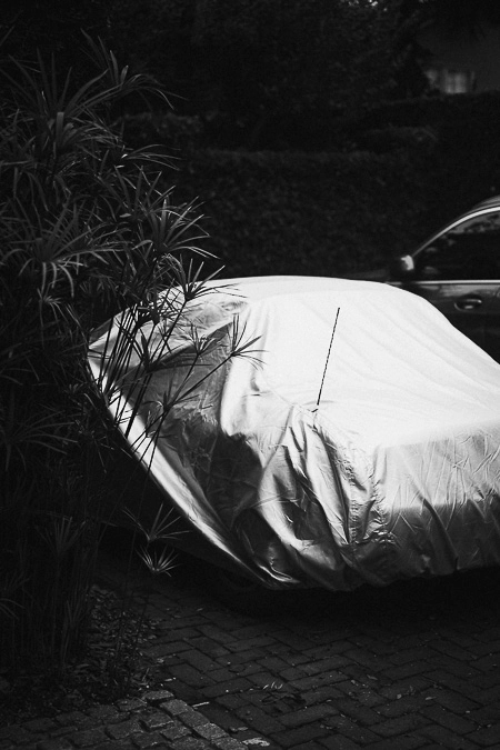 Black and white automotive