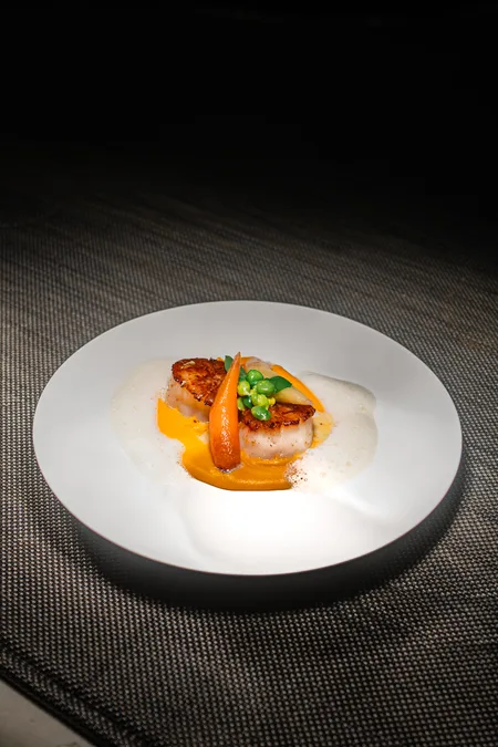 Scallops plated in a bisque foam