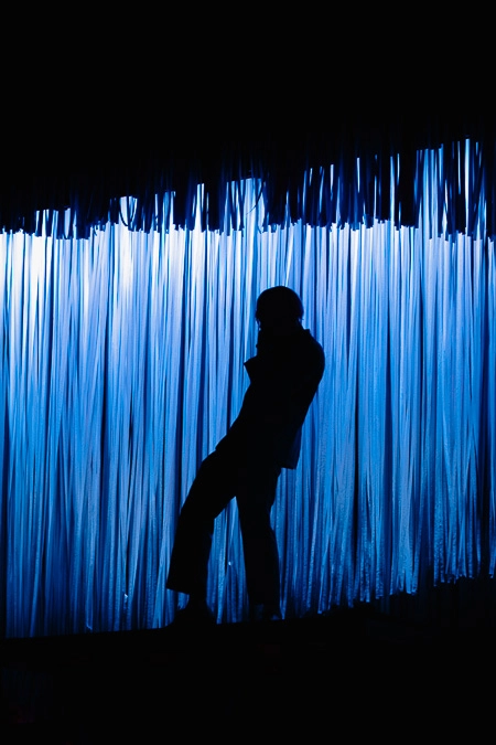 Tyler, The Creator sillouette