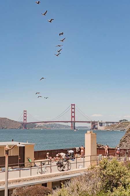 San Francisco Summer