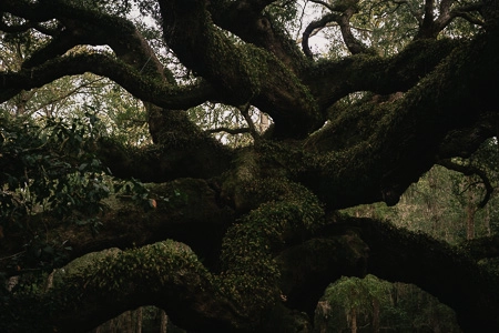 Landscape photography detail