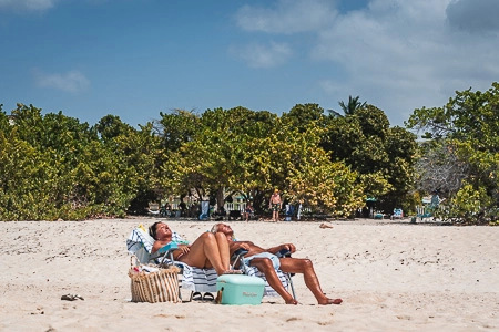 Landscape composition