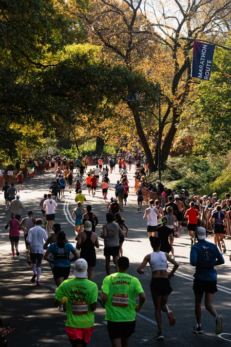 The field strung out under autumn trees on the marathon route